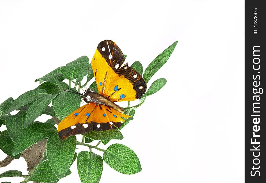 Yellow butterfly on green leaves