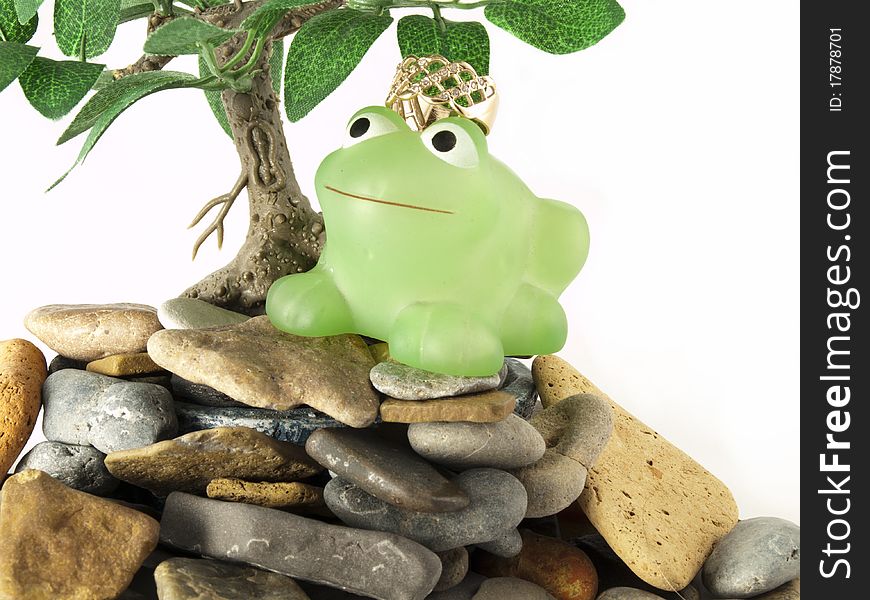 Green frog with crown on stones