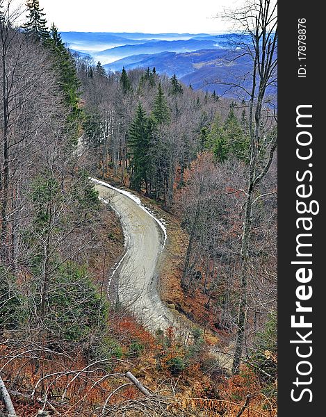 Winding road in autumn forest