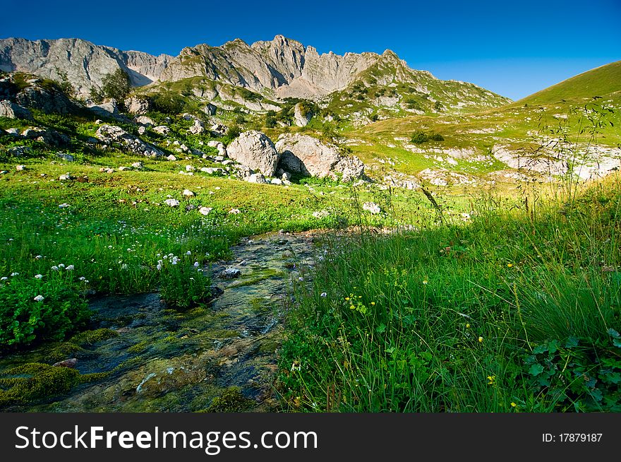 A brook in the mountain