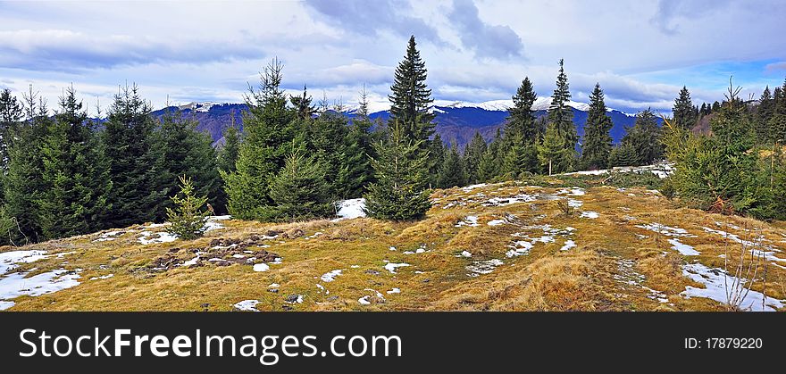 Mountain snowy peak with pie forest and cloudy sky in winter time