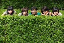 Girl Friends Group Hiding Behind The Tree Royalty Free Stock Images