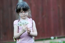 Adorable Little Girl  With  Dandelions Royalty Free Stock Photos