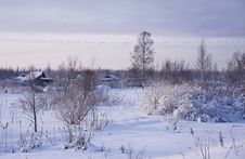 Winter Rural Landscape Royalty Free Stock Photo Winter Rural Landscape Royalty Free Stock Photo