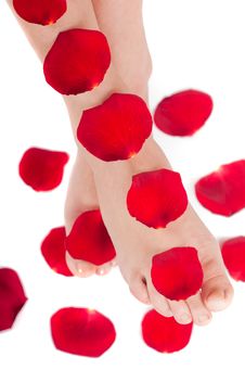 Beautiful Woman Legs With Rose Stock Images
