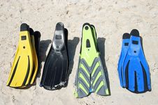 Flippers Royalty Free Stock Photography Flippers Royalty Free Stock Photography