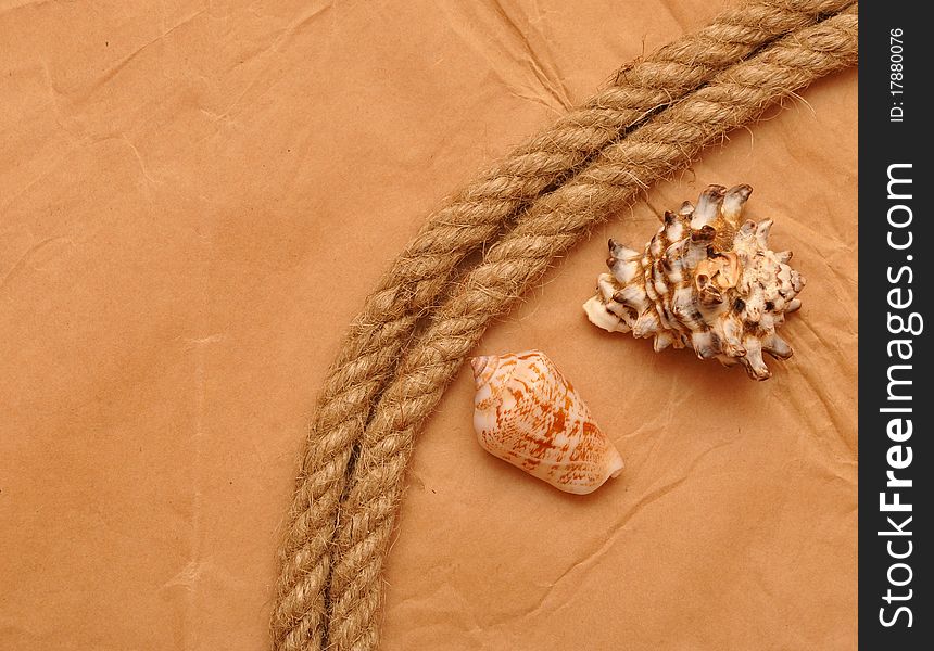 Shell and rope on paper. Shell and rope on paper