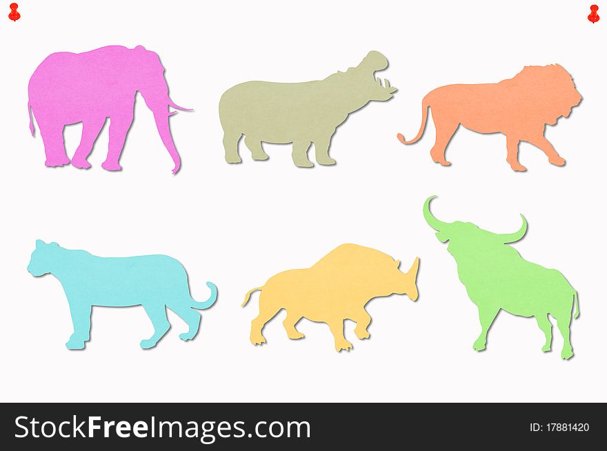 Animals Colored Notes