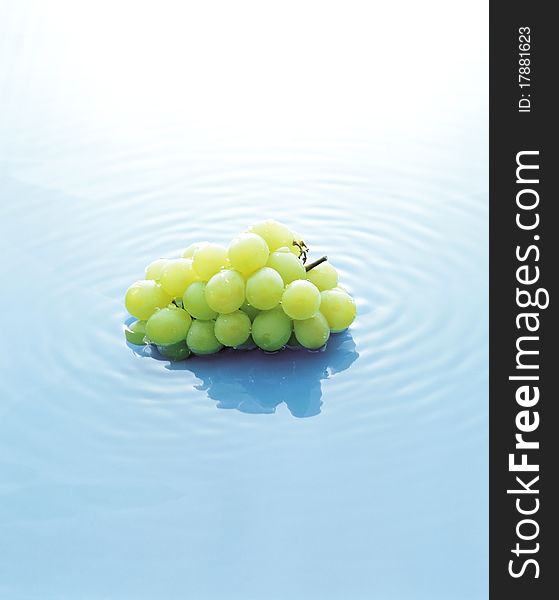 A cluster of white grapes sitting in a shallow pool of water. A cluster of white grapes sitting in a shallow pool of water.