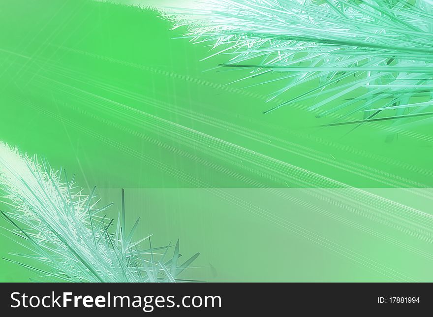 Abstract background with coniferous branches