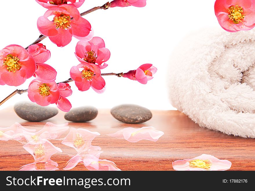 Peach flowers and reflection in the water