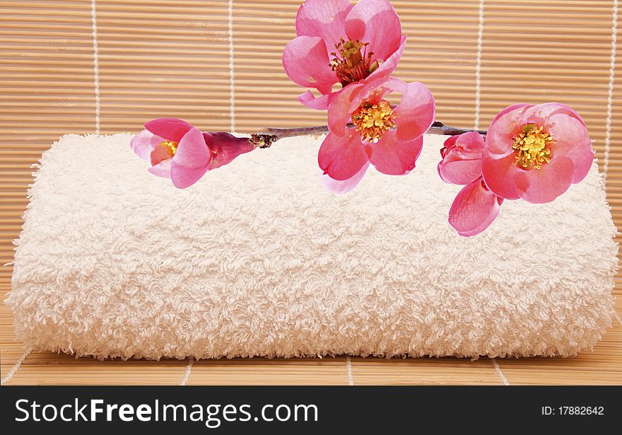 Spa scene with a towel and aromatic petals