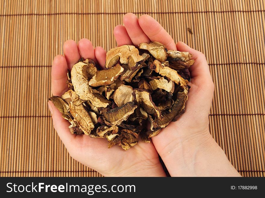 Dried porcini mushrooms in the hands of women