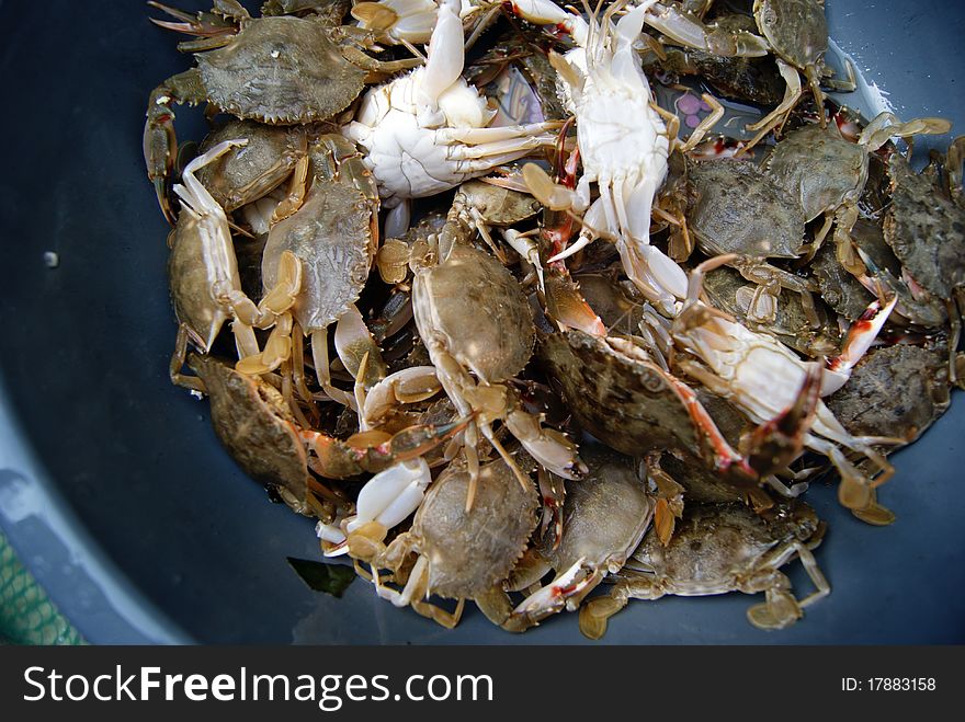 Crab, salvaged from the sea back. Is for sale.