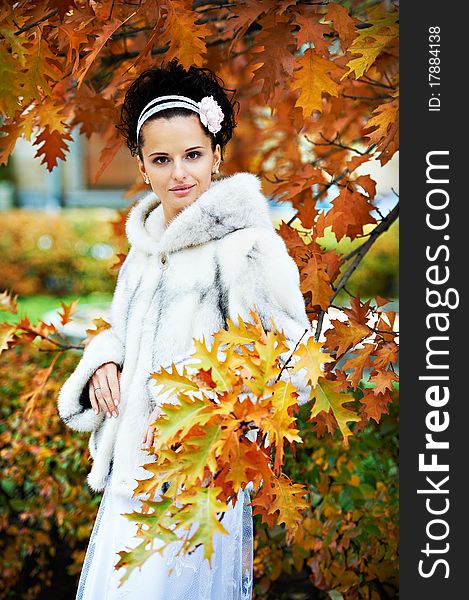 Elegant bride in autumn park on wedding walk. Elegant bride in autumn park on wedding walk