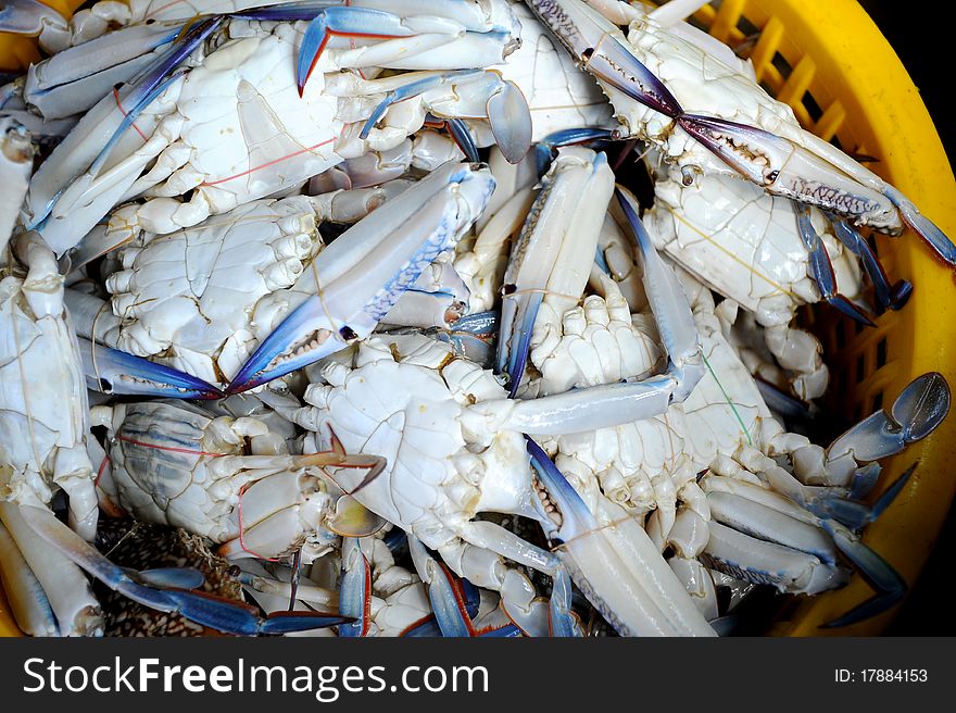 Crab and seafood in thai market