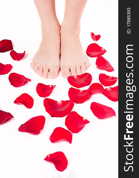 Beautiful Woman Legs With Rose Petals