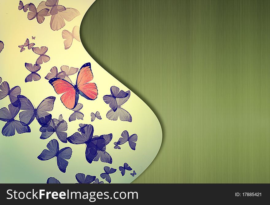 Colorful Background With Butterfly