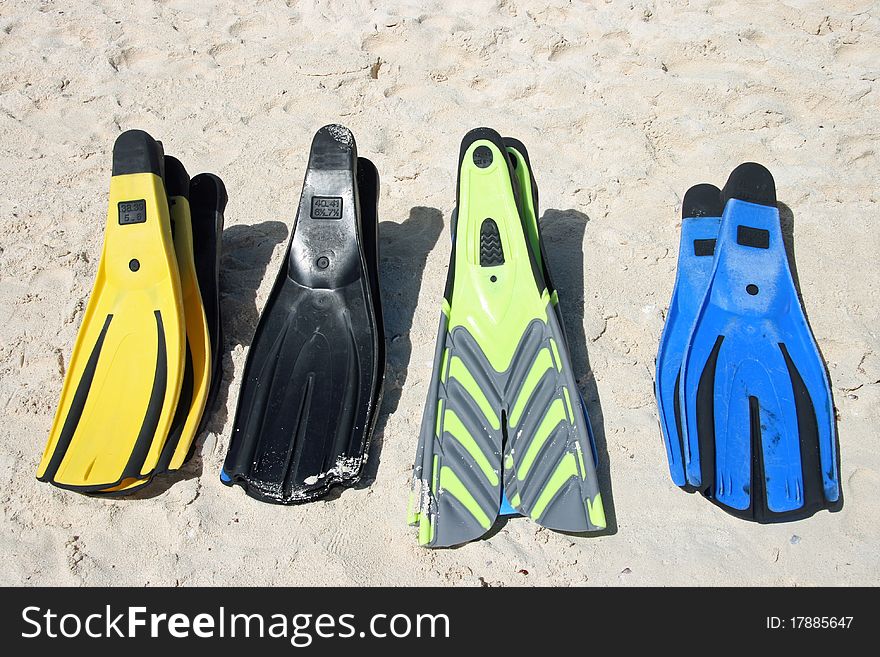 Different Flippers on caribbean Beach