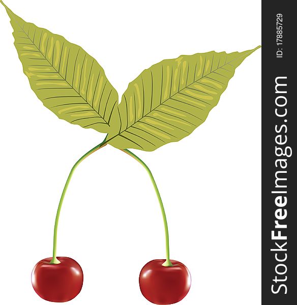 Two beautiful cherries with leaves