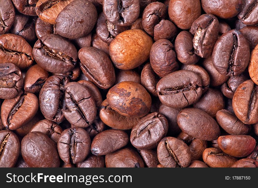 Macro photo with coffee beans background. Macro photo with coffee beans background