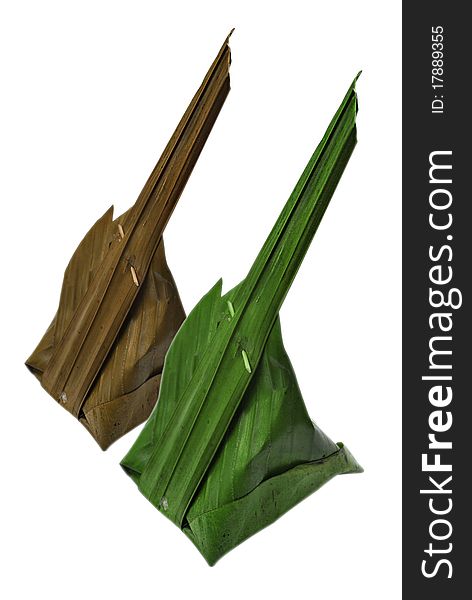 The different between dry banana leaf and fresh banana leaf are on the white background. The different between dry banana leaf and fresh banana leaf are on the white background