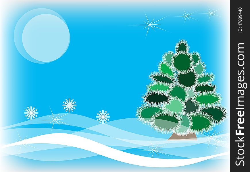 Winter fur-tree