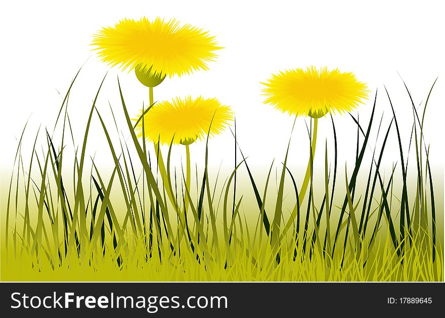 Spring background with fresh flowers - dandelions. Spring background with fresh flowers - dandelions