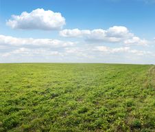 Green Field Under Midday Sun Royalty Free Stock Photo Green Field Under Midday Sun Royalty Free Stock Photo