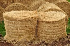 Agricultural Warehouse, Close-up Stock Image Agricultural Warehouse, Close-up Stock Image