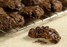 Chocolate Nut Cookie Sample Stock Images