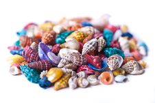 Pile Of Colorful Seashells Stock Photo