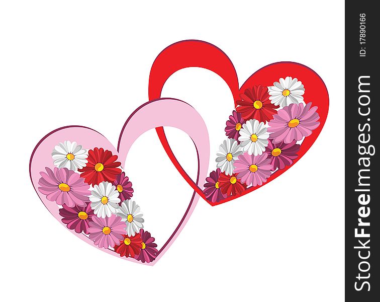 Illustration of decorative heart with the daisies against the white background. Illustration of decorative heart with the daisies against the white background