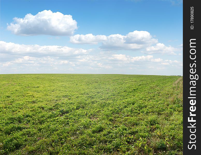 Green field under midday sun. Rural road.