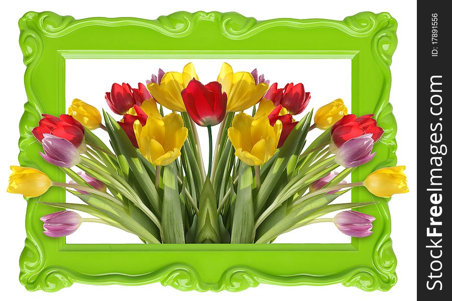 Fresh tulip bouquet in a pretty picture frame. Fresh tulip bouquet in a pretty picture frame.