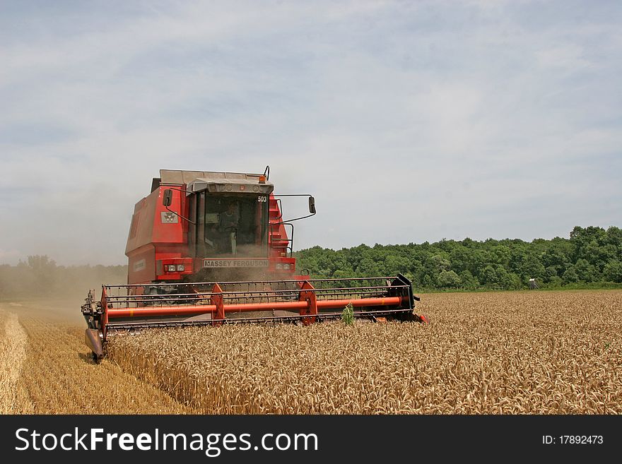Red working harvesting combine in the field of wheat. Red working harvesting combine in the field of wheat