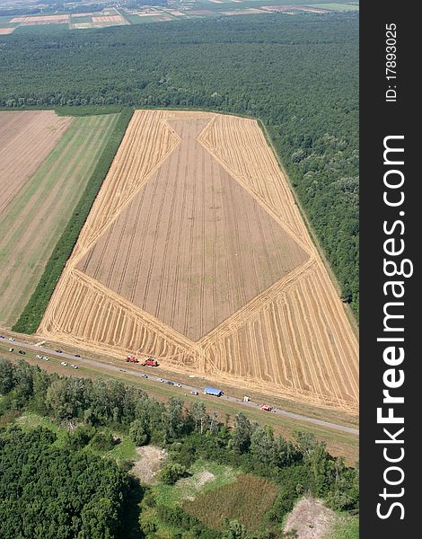 Aerial View: Golden Wheat field