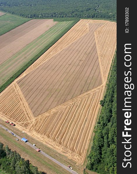 Aerial View: Golden Wheat field