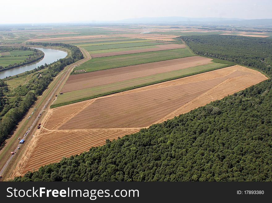 Aerial View: Golden Wheat field