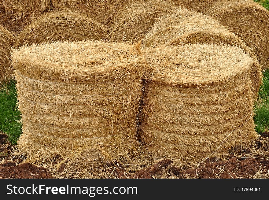 Farm crops, store bales of straw or hay, harvest and large supply, lying on the ground. Farm crops, store bales of straw or hay, harvest and large supply, lying on the ground