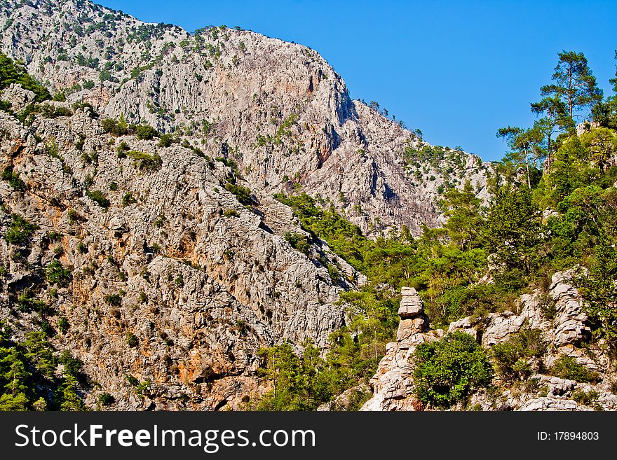 Rocks and trees of the canyon Goynuk in Taurus Mountains. Turkey. Rocks and trees of the canyon Goynuk in Taurus Mountains. Turkey