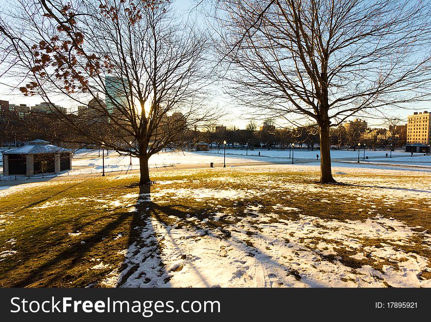 View of Boston Common in Massachusetts in the winter season.