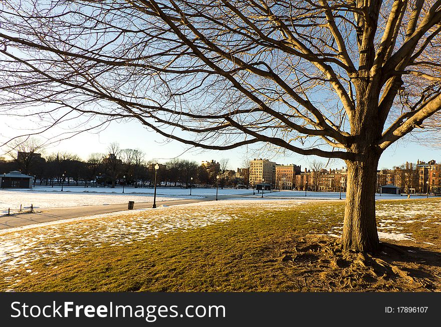 View of Boston Common in Massachusetts in the winter.