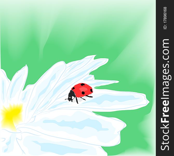 Watercolor illustration depicting a ladybug on daisy, vector illustration, eps10
