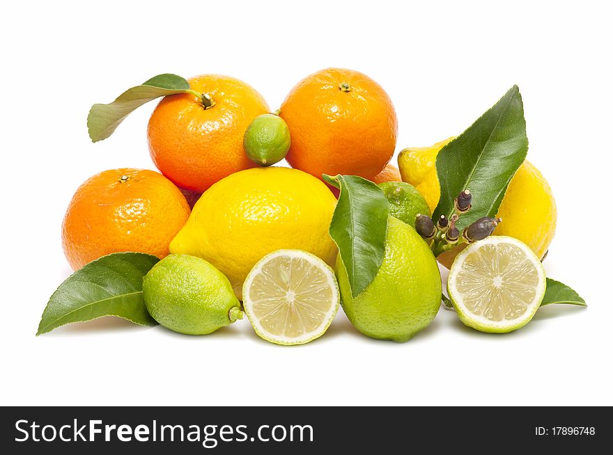 Ecological Citrus