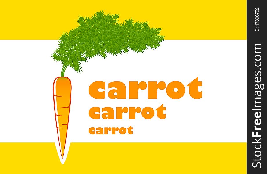 Carrot on a white background. Carrot on a white background