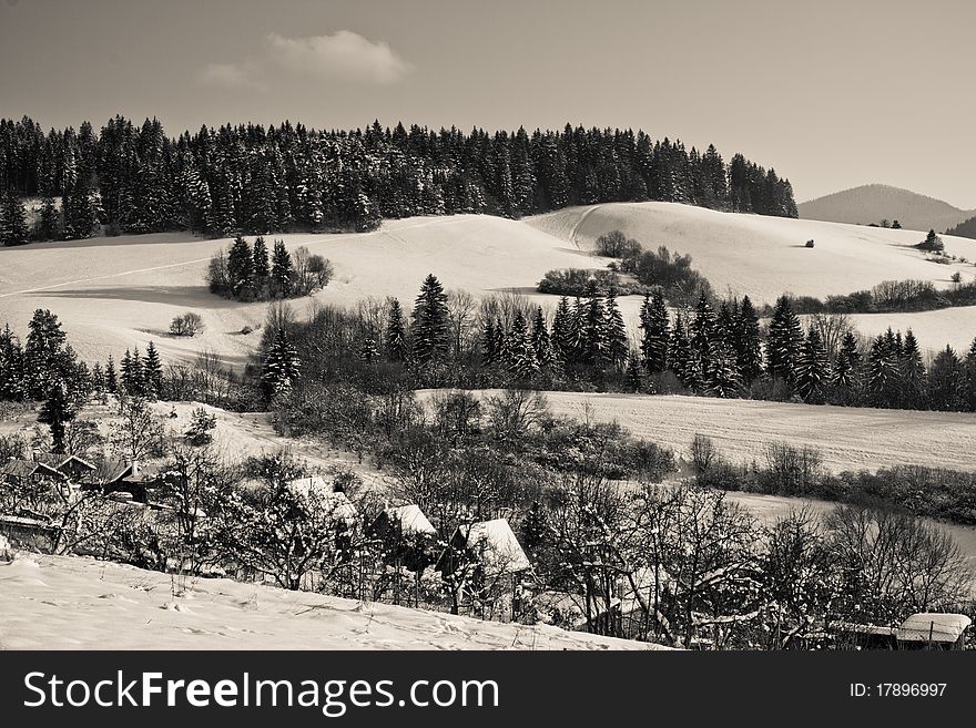 Forest and small cottages covered with fresh snow on the fields and meadows near the Brezovec neighbourhood, Dolny Kubin city. Forest and small cottages covered with fresh snow on the fields and meadows near the Brezovec neighbourhood, Dolny Kubin city.