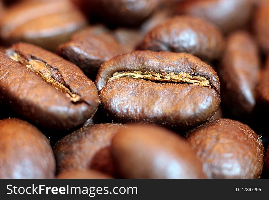 Macro of a coffee bean, background from coffee beans