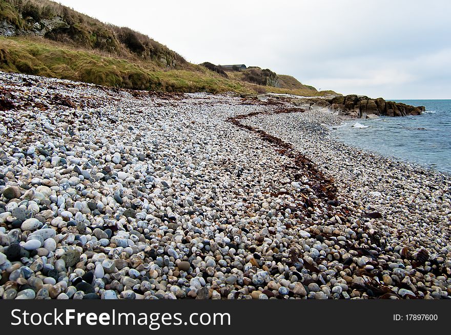 Seaweed line on a pebble beach.  Portmuck, Islandmagee, County Antrim, Ireland. Seaweed line on a pebble beach.  Portmuck, Islandmagee, County Antrim, Ireland
