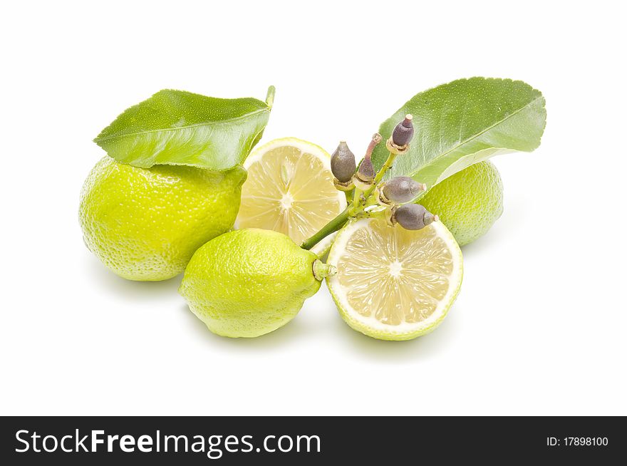 Ecological Lemons